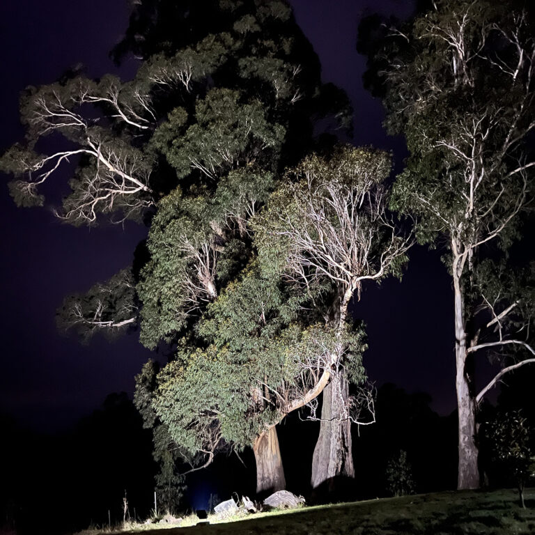 Robertson-Residential-Flood-Light-Project-4